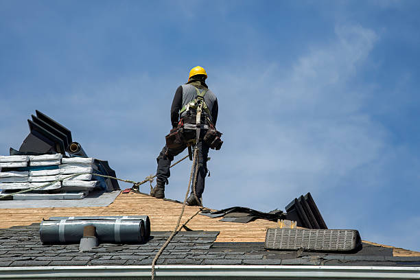 Professional Storm Damage Roof Repair technician working in Paskenta, CA